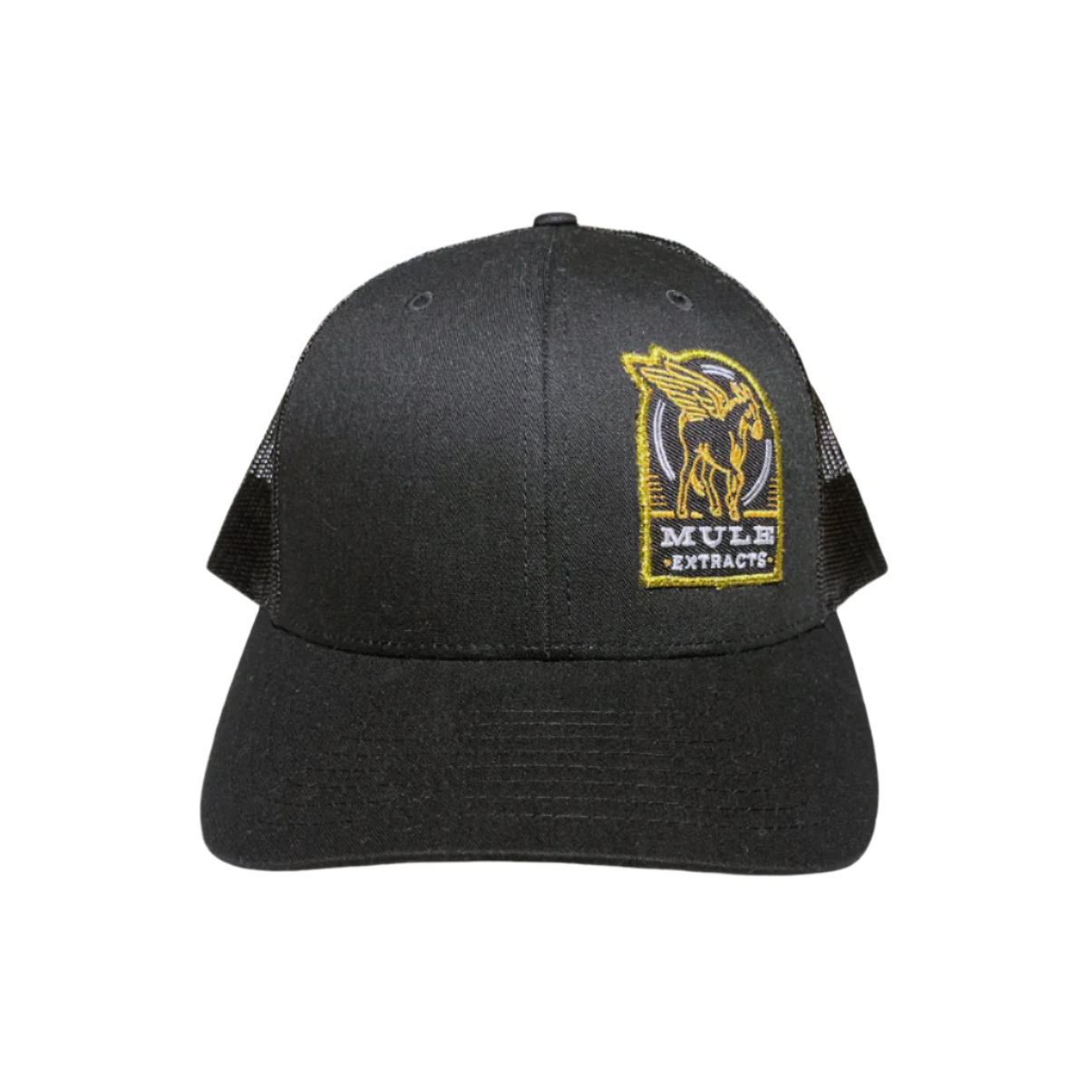Shield Snapback Hat